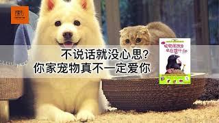 《动物在想什么 》不说话就没心思？你家宠物真不一定爱你【youtube字幕】| 好书精读推荐，见识决定格局，读书改变命运