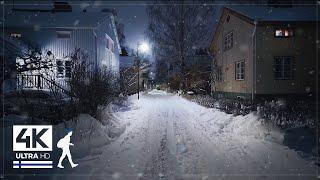 3 Hours of Nocturnal Snowfall Walks in Finland - Slow TV 4K