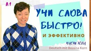  Wortschatz * Сегодня выучим ещё 10 слов (части тела)