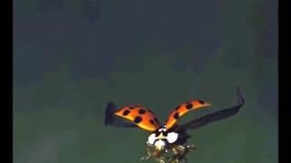 Fly with me