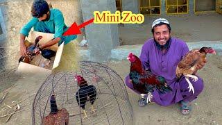 Dilbar Ke Bchy Mini Zoo Men Puhnch Gae 