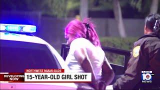 Mother shoots girl outside McDonald's in Miami-Dade