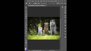 Patch Tool Use in Adobe Photoshop Tutorial | #shorts