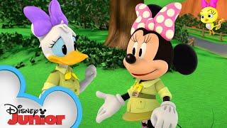 Happy Helpers Go Camping | Mickey Mornings | Mickey Mouse Roadster Racers | @disneyjr