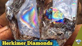 Digging Rainbow Herkimer Diamond Quartz Crystals | Paradise Falls New York