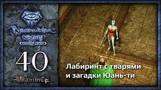 Состязание Мутамина - Neverwinter Nights: Enhanced Edition  - Прохождение за барда - #40