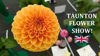 Taunton Flower Show! #TAUNTON