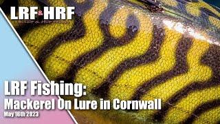 LRF Fishing: Mackerel on Lures & More in Cornwall