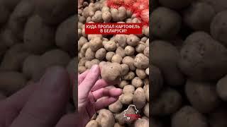 Беларусы остались без картошки  #беларусь  #belarus #качество #картошка #картофель #бульба #кризис