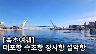 [속초여행 속초항구] 속초가볼만한곳, 대포항 속초항 장사항 설악항, Sokcho Trip