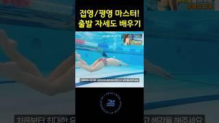 접영과 평영 마스터! 출발 자세도 배우기! #수영배우기 #접영 #평영