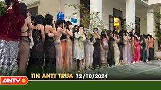 Tin tức an ninh trật tự nóng, thời sự Việt Nam mới nhất 24h trưa ngày 12/10 | ANTV