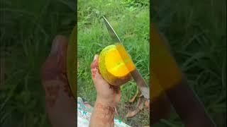 #Mango videos#youtube short chanel#suresh short chanel