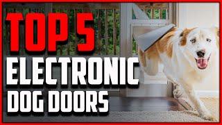 Top 5: Best Electronic Dog Door 2021