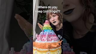 How I Store My Frogs