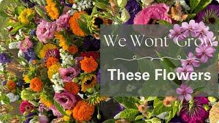 Top 5 Flowers We Refuse to Grow On Our Farm