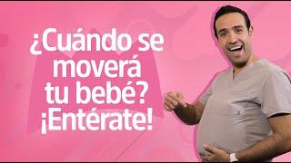 ‍️¿A los CUÁNTOS MESES se MUEVE el BEBÉ? | Reina Madre