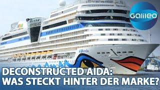 AIDA:Wie erfolgreich ist das Kreuzfahrtunternehmen & was erwartet die Gäste an Board?