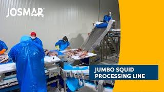 Jumbo squid processing line