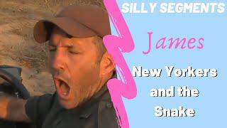 James Hendry The New Yorkers and the Snake funny safarilive story