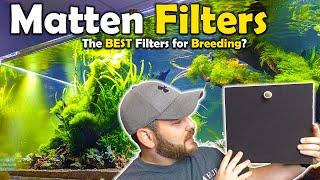 Why Most BREEDERS Choose this FILTER for their AQUARIUM - Matten Filters