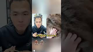 潘虹直播炸裂名場面發現是