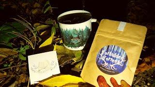  Forbidden Forest Review  A Harry Potter Tea from Booksnleaf Tea 