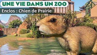 Habitat des Chiens de Prairie à queue noire | ÉPISODE 103 | PLANET ZOO | Franchise