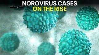 Norovirus on the rise in Austin, doctor says