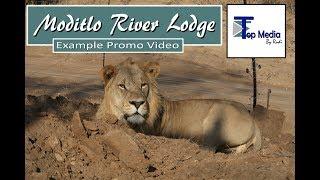 Moditlo River Lodge| Top Media by Rudi | Promo Video | African Safari Lodge