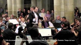 Orquesta Gaos -Ciclo de Concertos nas Catedrais Galegas - Catedral Ourense TdLOU