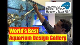 Aquarium Design Group | Houston, Texas | Aquarium Design Gallery | Mayur Dev Aquascaper  4K