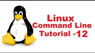 Linux Command Line Tutorial For Beginners 12 -  nano command