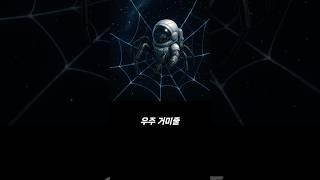 우주 거미줄