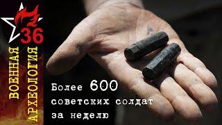 Более 600 советских солдат найдено в Воронежской области. ВОЕННАЯ АРХЕОЛОГИЯ