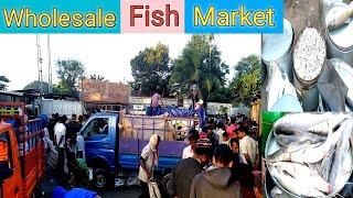 Wholesale Fish Market || मसली की मंडी ||थोक बाज़ार