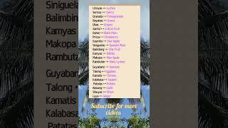 Tagalog English Translation Useful Vocabulary Words with their correct Meanings