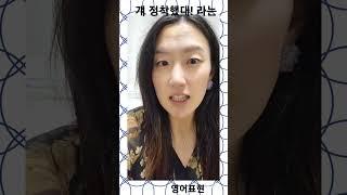 절대 결혼 안 할거 같던 친구가 결혼 소식을 알려올때..! 정착했네! 라는 영어표현 #일상영어 #날씨영어 #결혼식