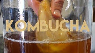 Beginners Guide To Fermentation: Kombucha Making