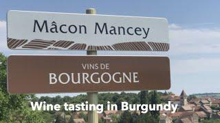 Wine Tasting in Burgundy