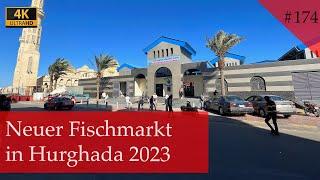 Neuer Fischmarkt und aktuelle Preise für Ausflüge in Hurghada | Ägypten 2023 (Vlog # 174)