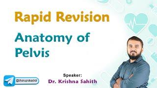 Anatomy of Pelvis Rapid revision | Dr Krishna Sahith