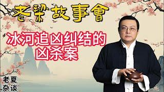 《老梁故事會》【冰河追凶深度解析】犯罪悬疑片中的人性纠结：警察的道德困境与罪犯的赎罪之路#老梁故事会#梁宏达# 老夏杂谈#冰河追凶#犯罪悬疑片#人性纠结#警察道德困境#罪犯赎罪#法律与道德#程序正义