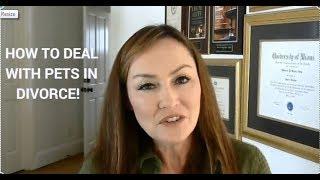 How to Deal With Pets in Divorce!   Rebecca Zung, Esq.
