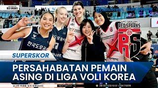 PERSAHABATAN PEMAIN ASING DI LIGA VOLI KOREA, Bukilic-Mega Saling Dukung dengan Pemain Thailand