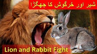 The Lion and Rabbit | 3D Animated Hindi Stories for Kids | Fairy tales in Urdu | ENGLISH SUBITLES
