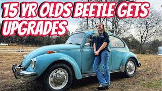 Wawa’s Beetle gets Interior, suspension, roof rack, and engine maintenance!