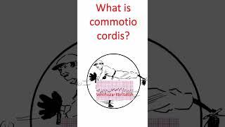 What is commotio cordis?