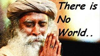 Sadhguru  - universe was not made for you