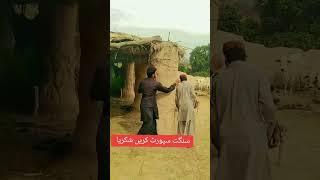 dilchasp funny video please support Karen